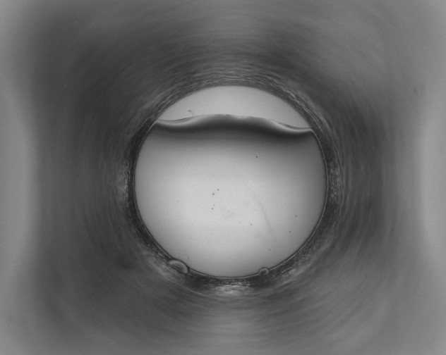 X0000112020505200908171433