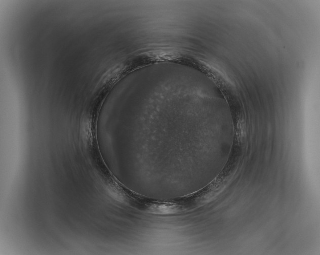 X0000112020506200908171433