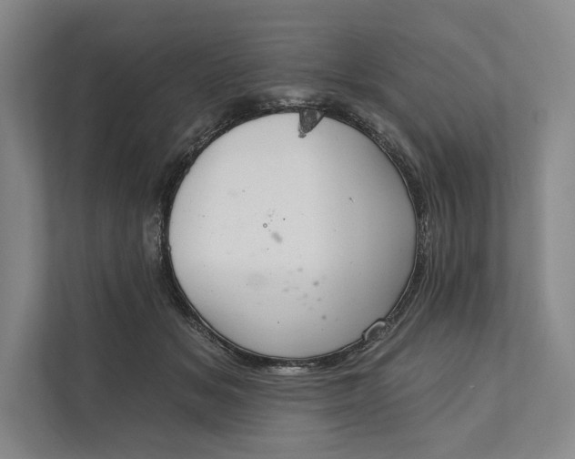 X0000112020509200908171433