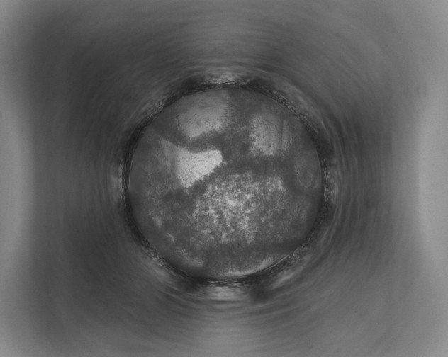 X0000112020510200908171433