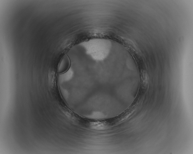 X0000112020511200908171433