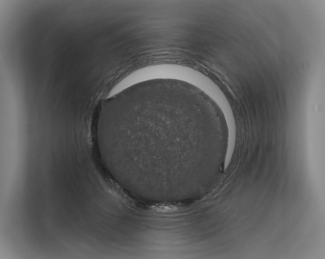 X0000112020512200908171433