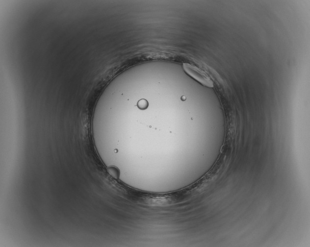 X0000112020513200908171433