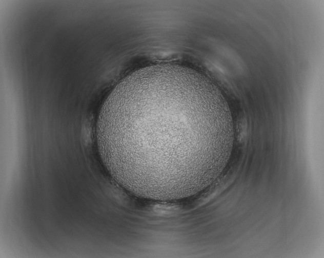 X0000112020515200908171433