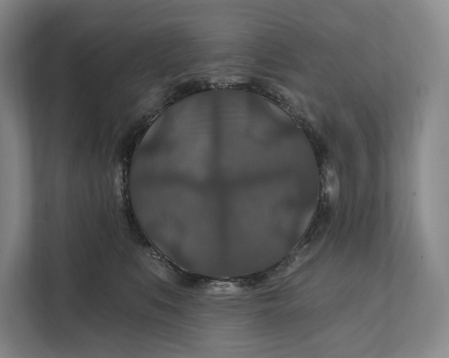 X0000112020519200908171433