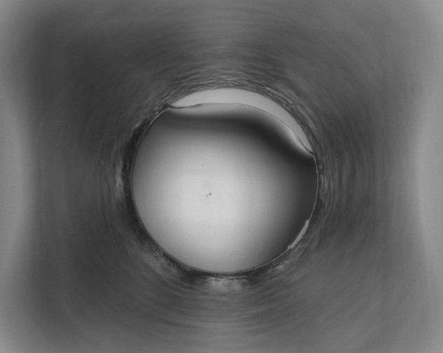 X0000112020520200908171433