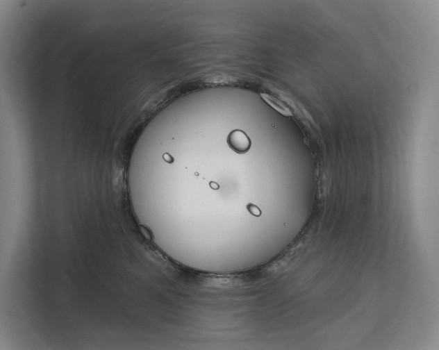 X0000112020521200908171433