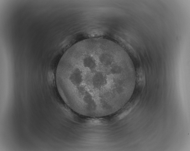 X0000112020523200908171433