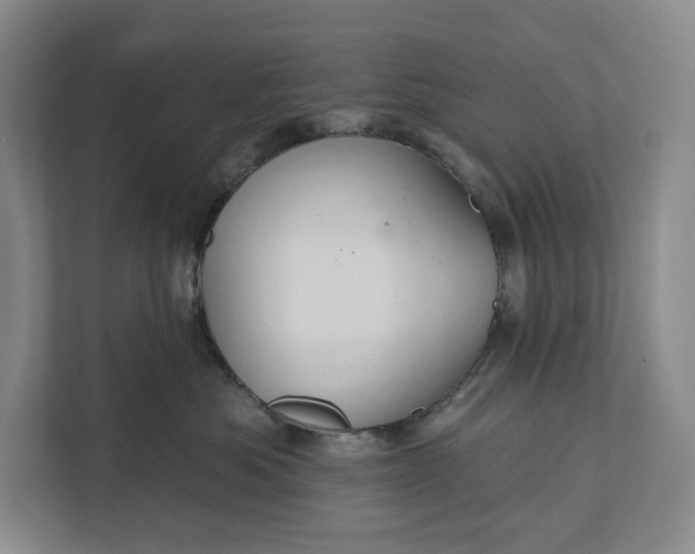 X0000112020525200908171433