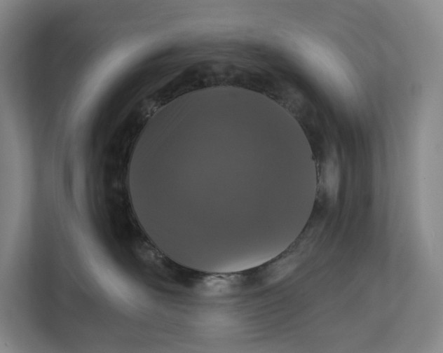 X0000112020526200908171433