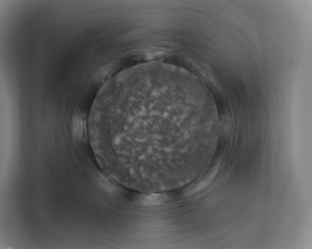 X0000112020527200908171433