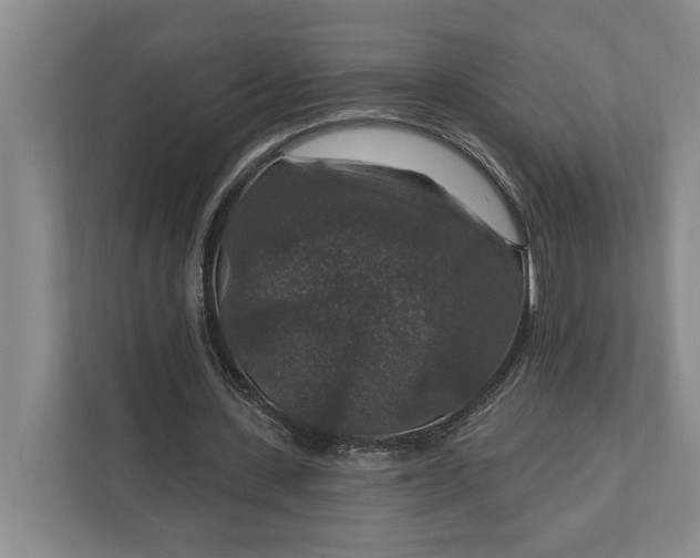 X0000112020531200908171432