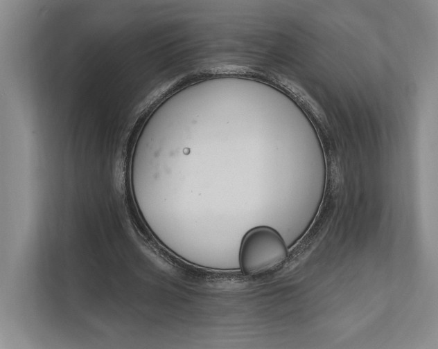 X0000112020533200908171432