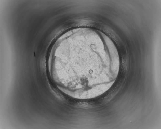 X0000112020534200908171432