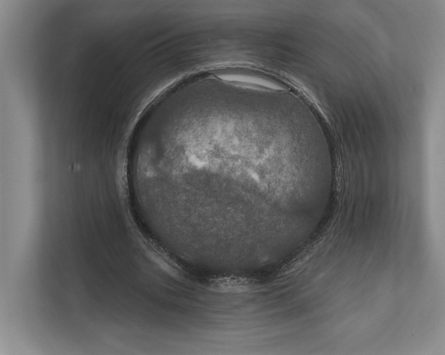 X0000112020535200908171432