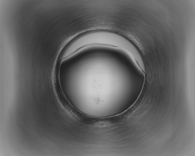 X0000112020536200908171432