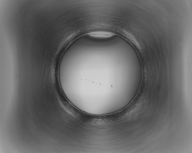 X0000112020538200908171432