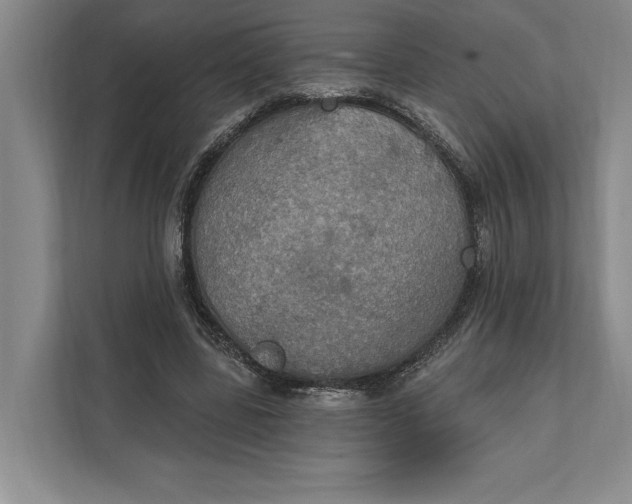 X0000112020539200908171432