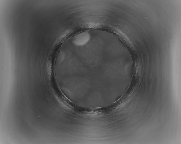 X0000112020542200908171432