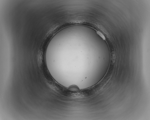 X0000112020544200908171432