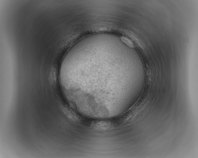 X0000112020546200908171432