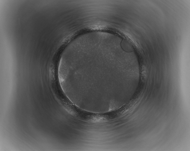 X0000112020547200908171432