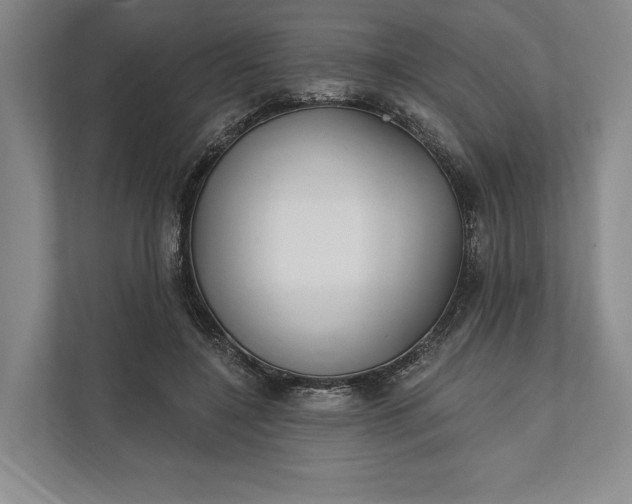 X0000112020548200908171432