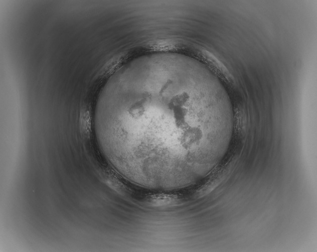 X0000112020549200908171432