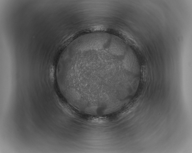 X0000112020550200908171432