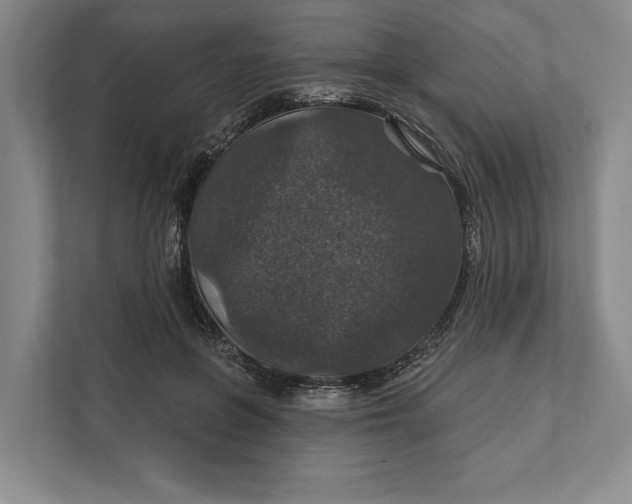 X0000112020551200908171432