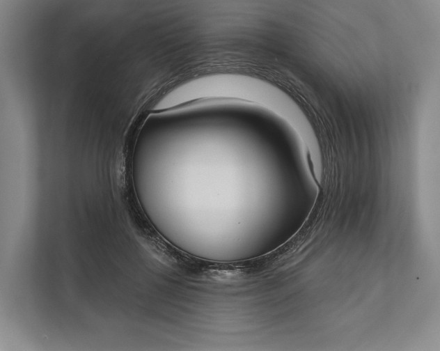 X0000112020552200908171432