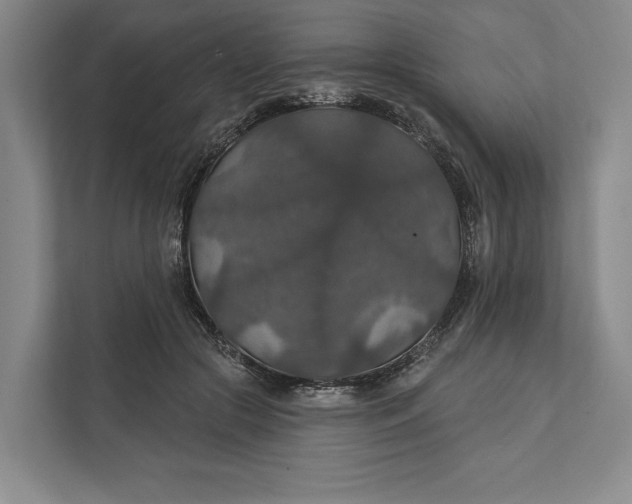 X0000112020553200908171432