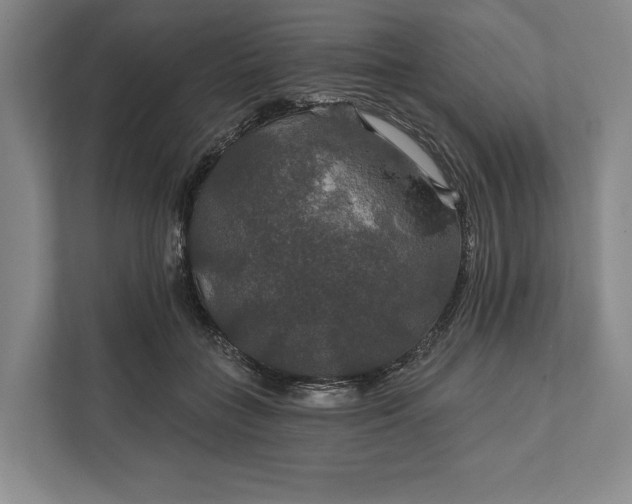 X0000112020555200908171432