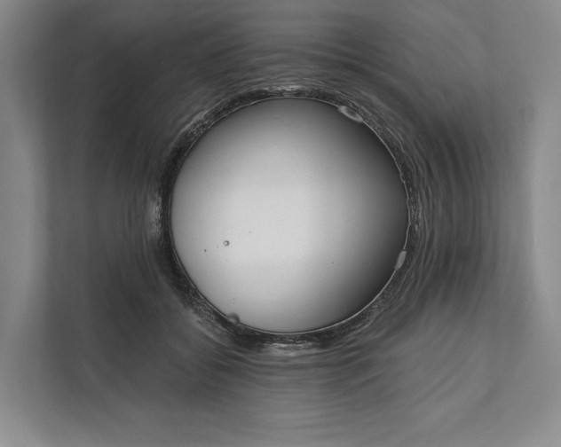 X0000112020556200908171432