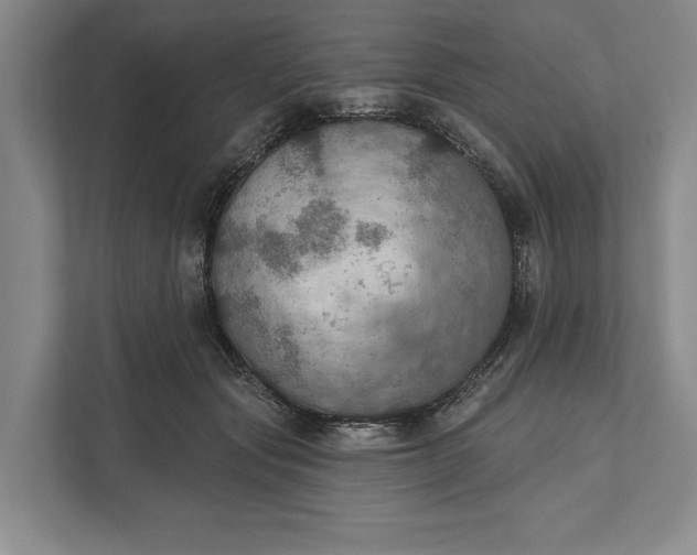 X0000112020557200908171432