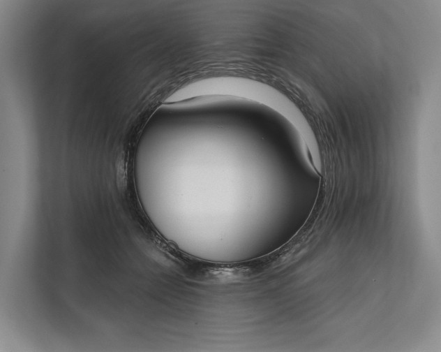 X0000112020558200908171432