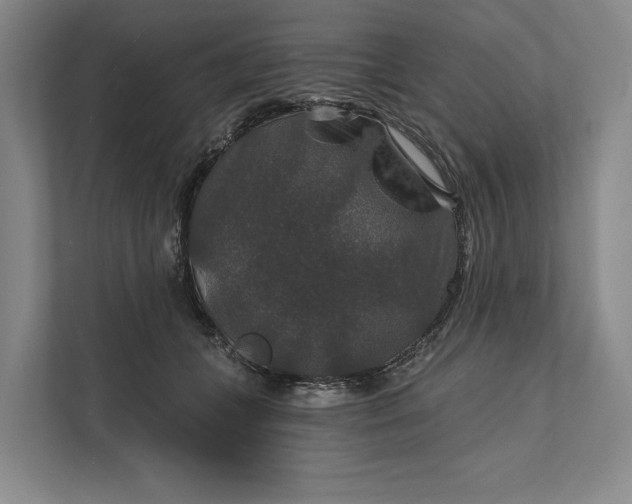 X0000112020559200908171432