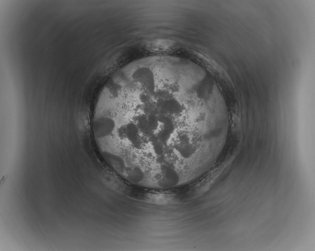 X0000112020561200908171432