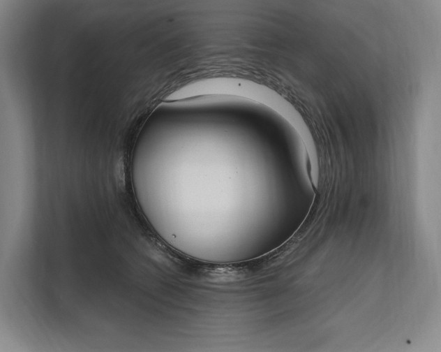 X0000112020562200908171432