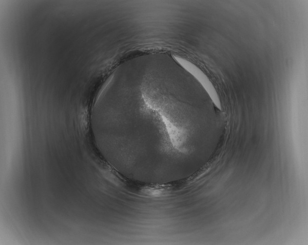 X0000112020563200908171432