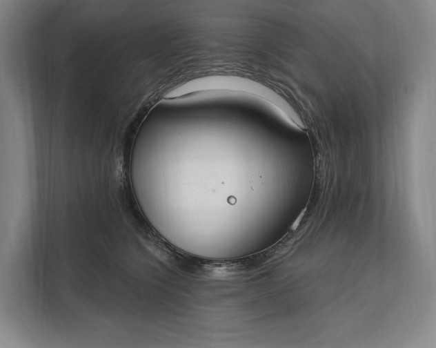 X0000112020564200908171432