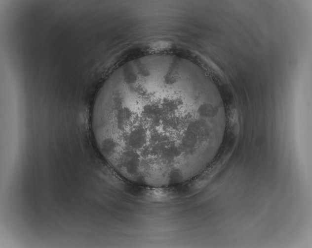 X0000112020565200908171432