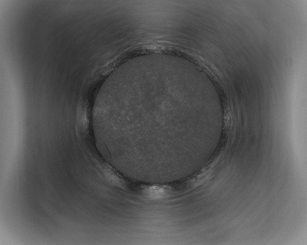 X0000112020566200908171432