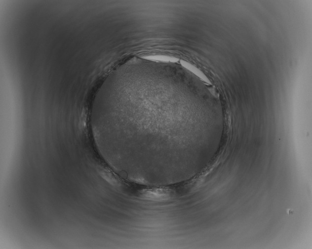 X0000112020567200908171432