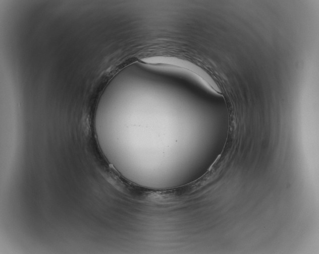 X0000112020568200908171432