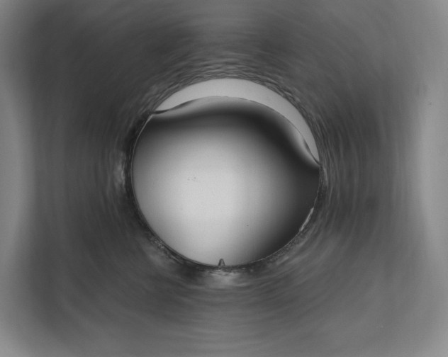 X0000112020570200908171432