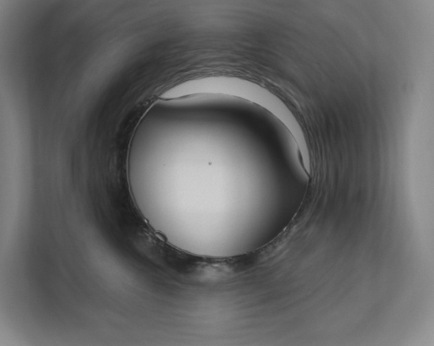 X0000112020572200908171432