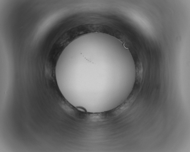 X0000112020574200908171432