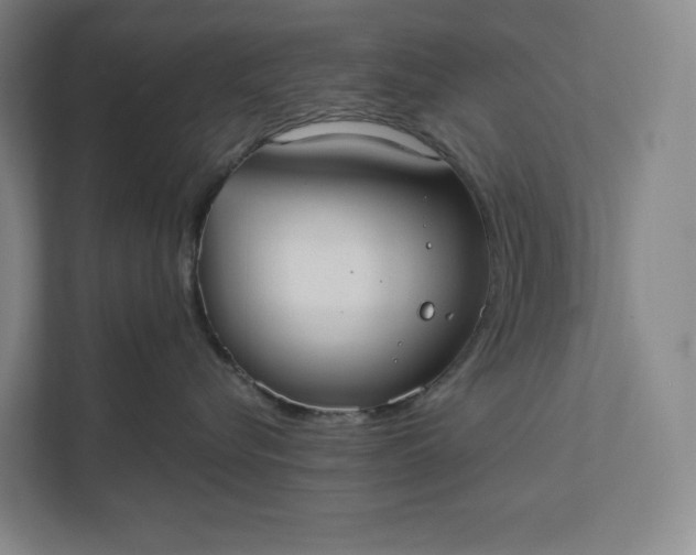 X0000112020576200908171432