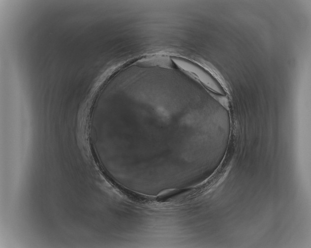 X0000112020577200908171432